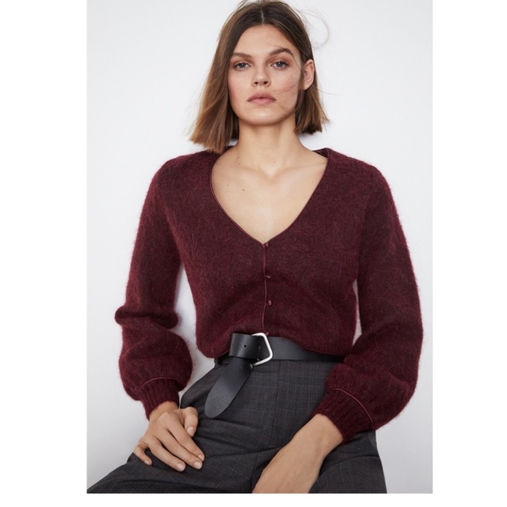 ✨Zara Special Edition Cropped Sweater Small